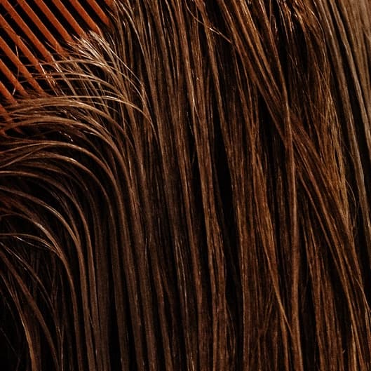 HAIR GROWTH AND RECOVERY PACKAGE at Halo in lubbock, TX